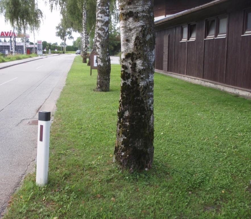 Umwelt und Natur - das Programm der Grünen Riedau